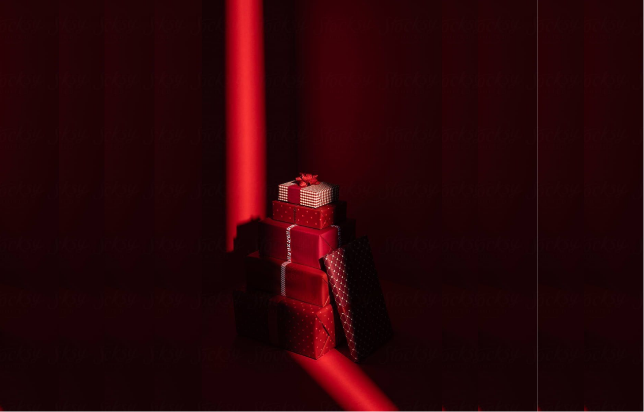 Photo's Website kerst (4)